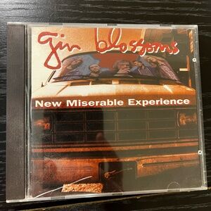 Gin Blossoms New Miserable Experience